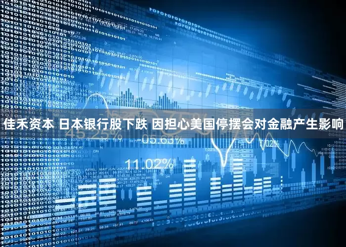 佳禾资本 日本银行股下跌 因担心美国停摆会对金融产生影响