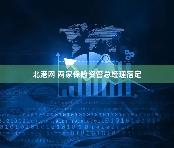 北港网 两家保险资管总经理落定